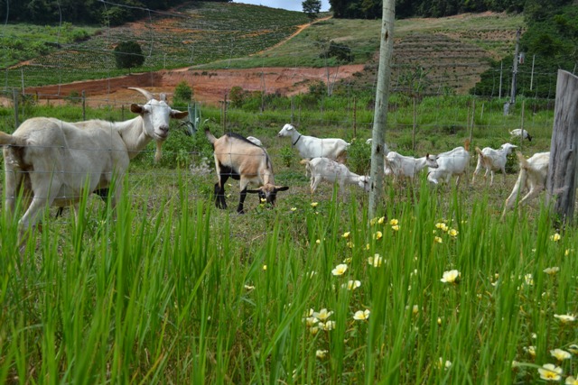 Irupi investe no Turismo Rural