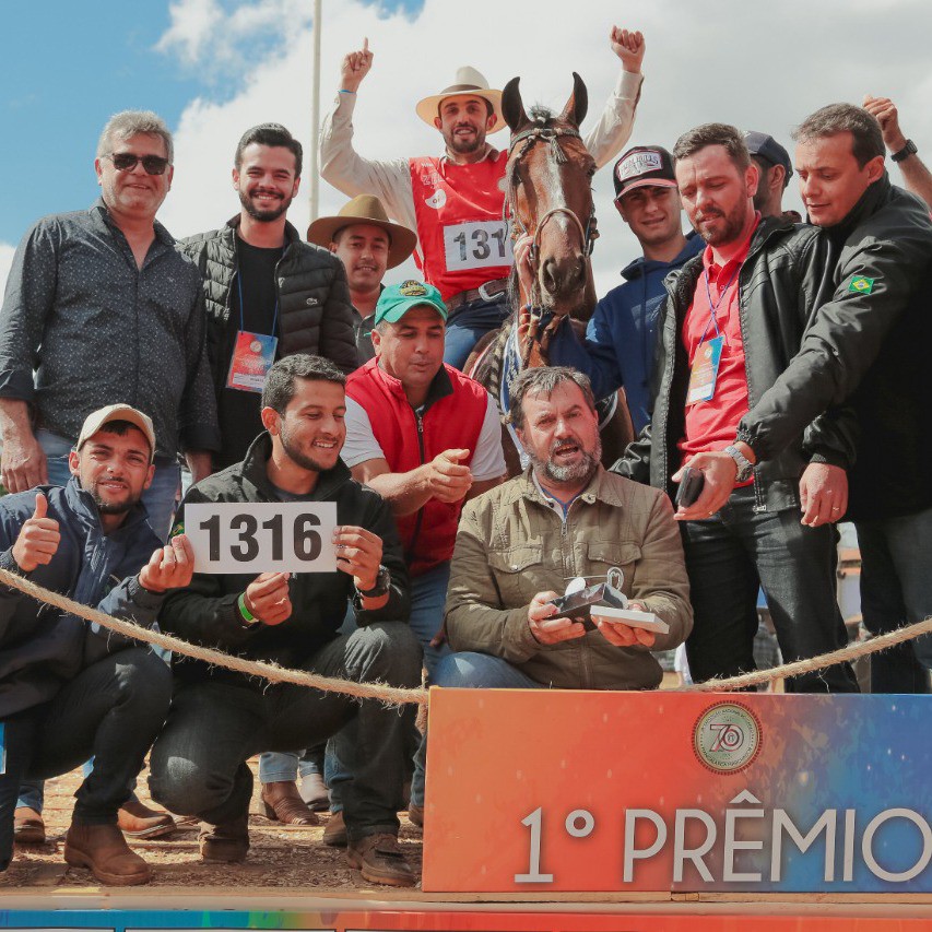 Mangalarga marchador do Haras Rota Imperial de Irupi leva o 1º prêmio em concurso nacional