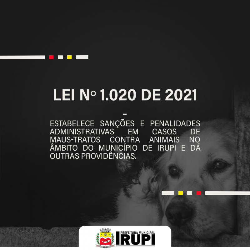 Prefeito Edmilson Meireles sanciona Lei contra os maus-tratos contra animais